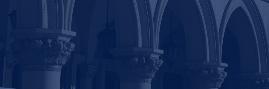 TRIUMPHANT BUSINESS SOLUTIONS